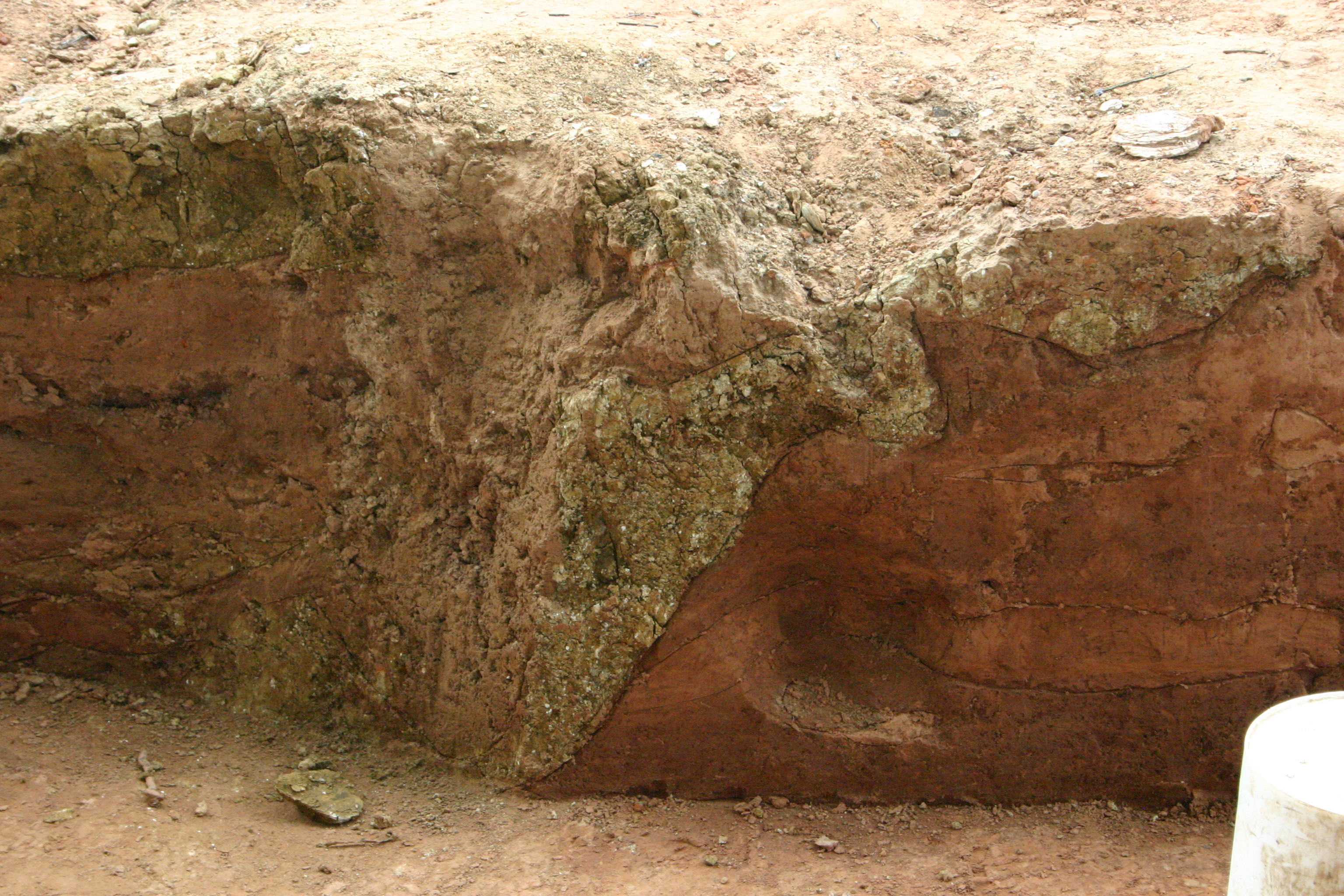 Historic District-Lane Luckie-0149