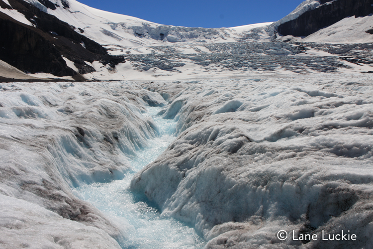 Athabasca Glacier